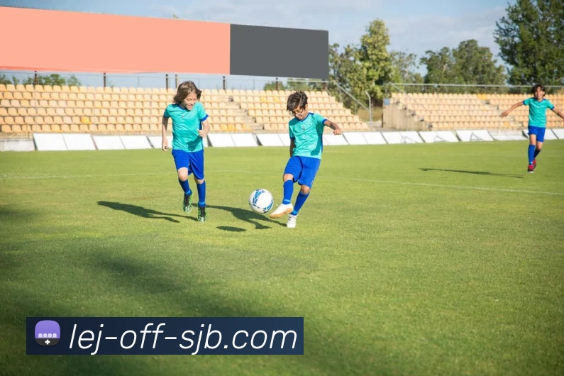 多媒体互动体验